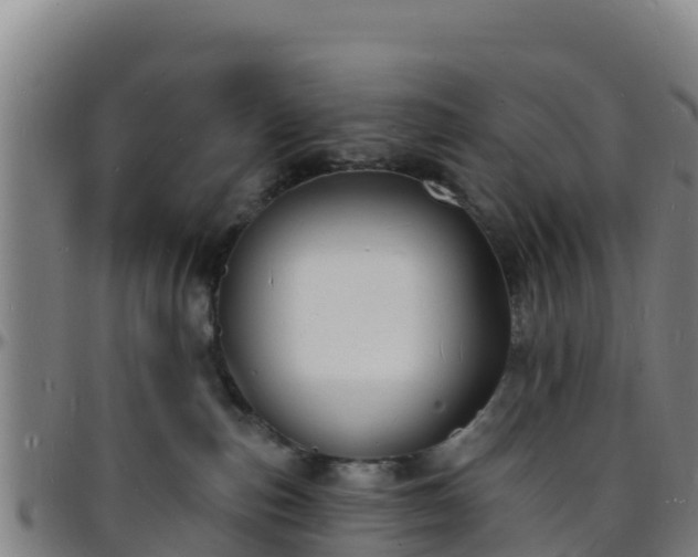X0000096390187200801311329