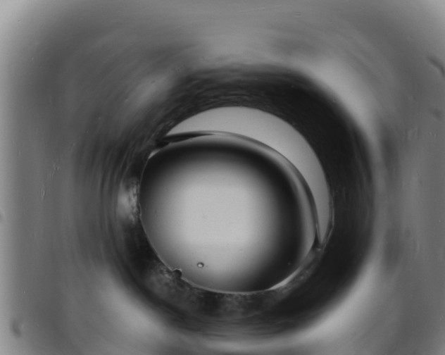 X0000096390190200801311329