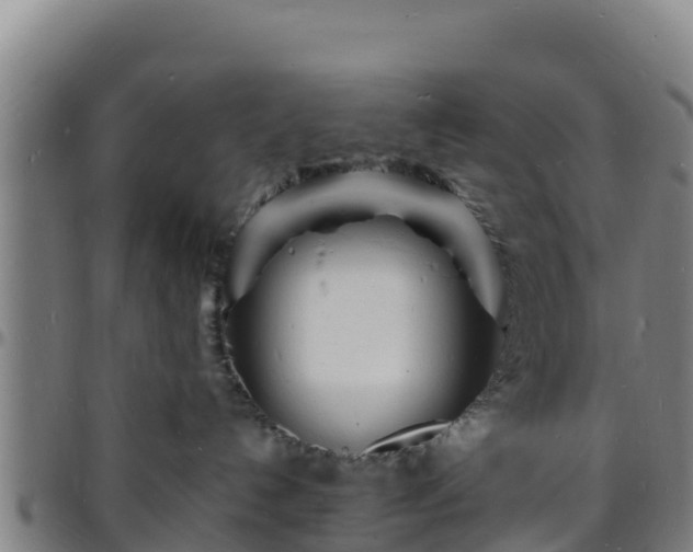 X0000096390192200801311329