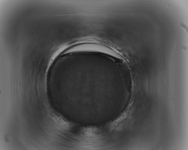 X0000096390200200801311328