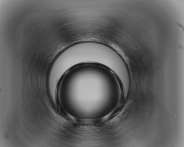 X0000096390201200801311328