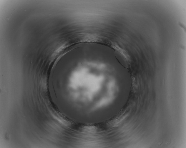 X0000096390203200801311328