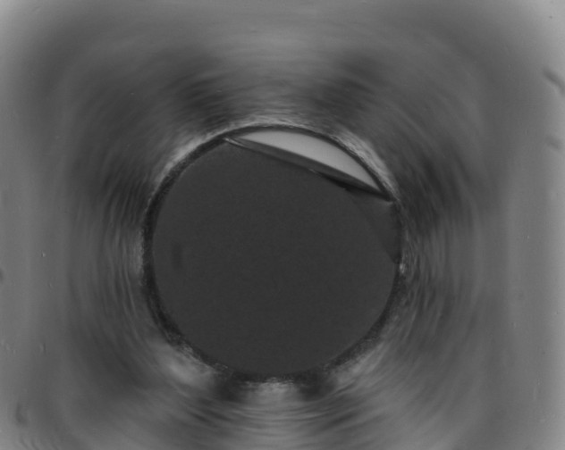 X0000096390204200801311328