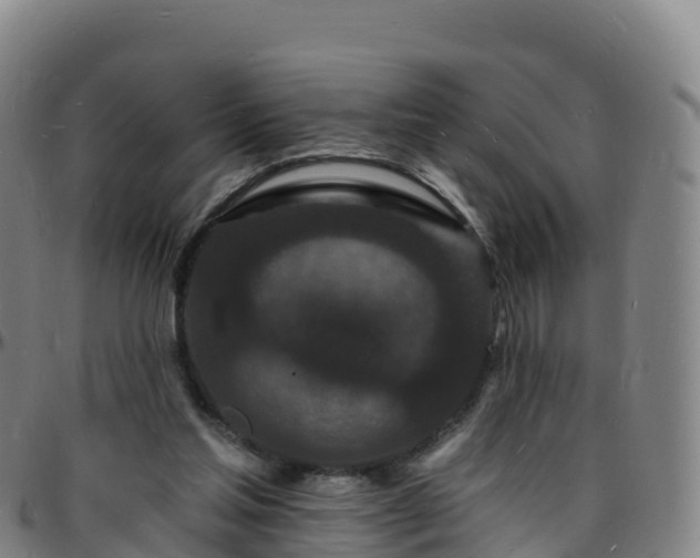 X0000096390205200801311328