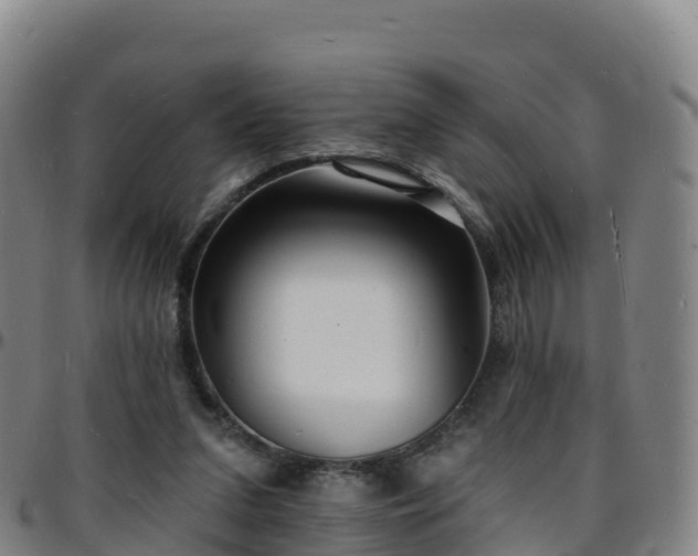 X0000096390207200801311328