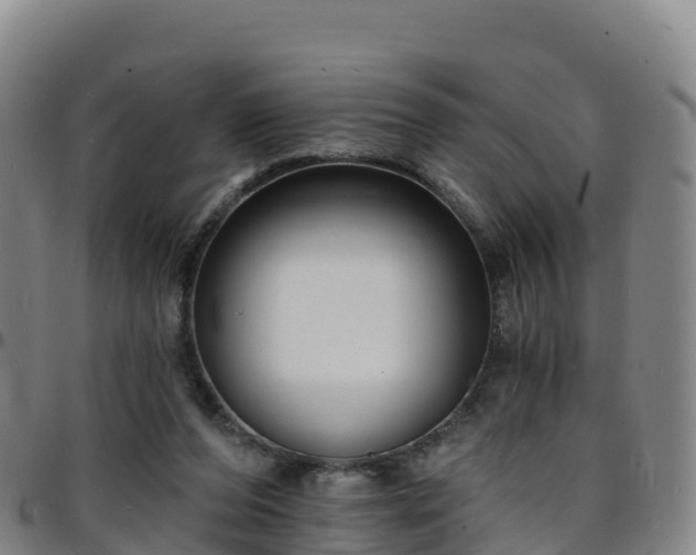 X0000096390208200801311328