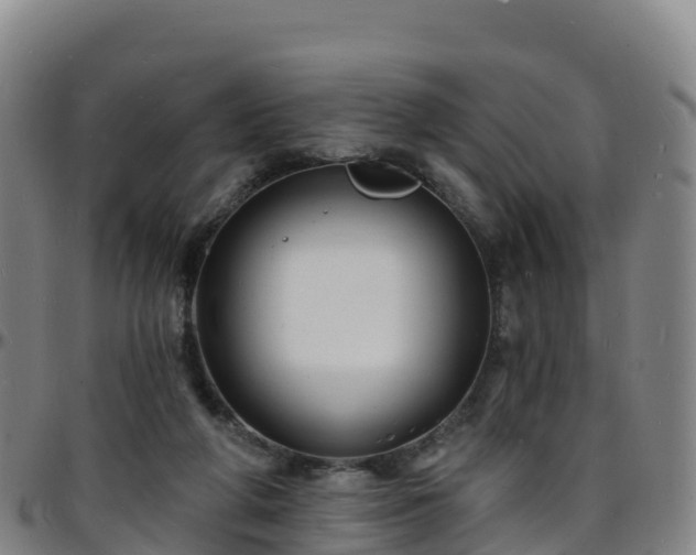 X0000096390210200801311328