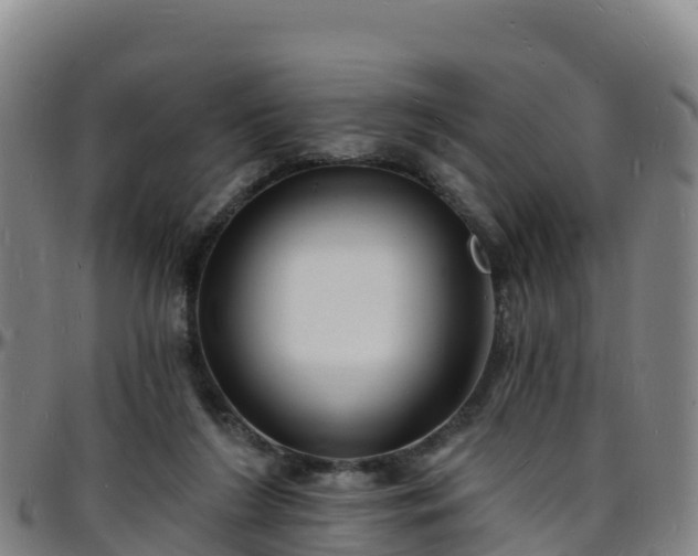 X0000096390212200801311328