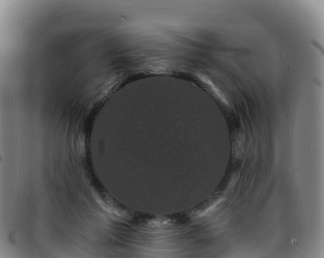 X0000096390213200801311328