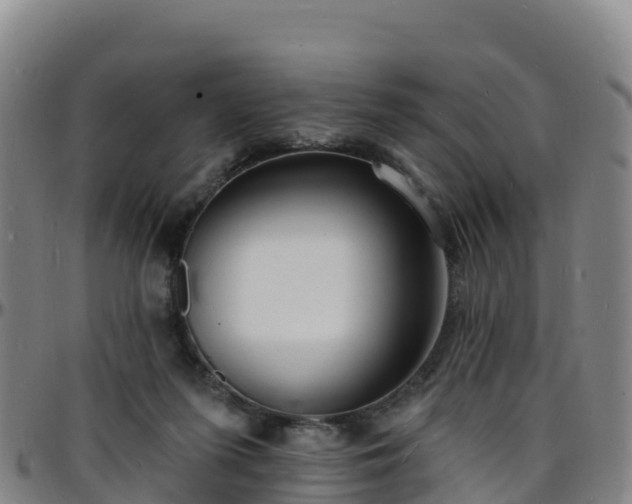 X0000096390215200801311328