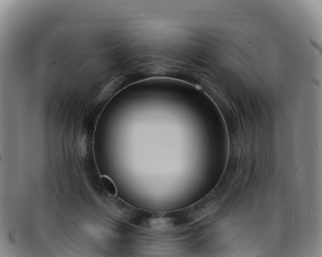 X0000096390216200801311328