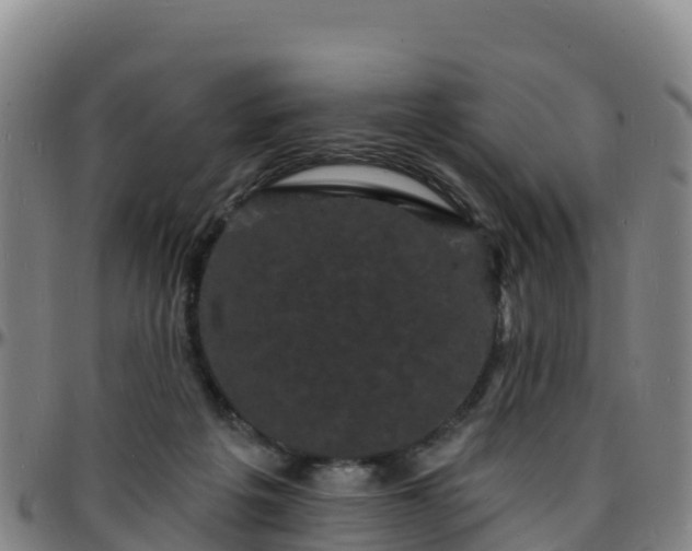 X0000096390217200801311328