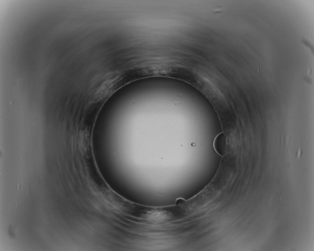 X0000096390218200801311328
