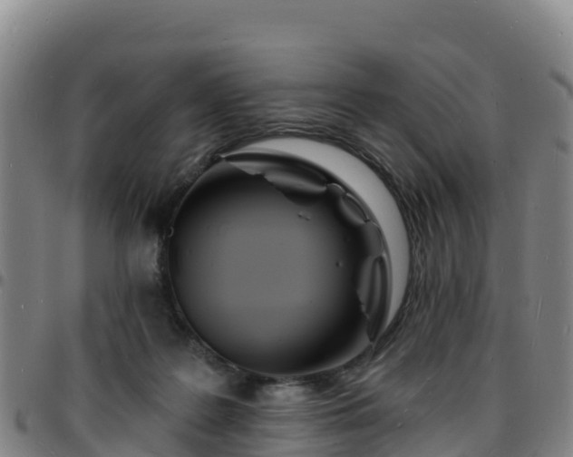 X0000096390219200801311328