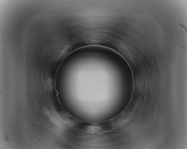 X0000096390220200801311328