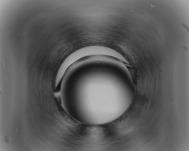 X0000096390221200801311328
