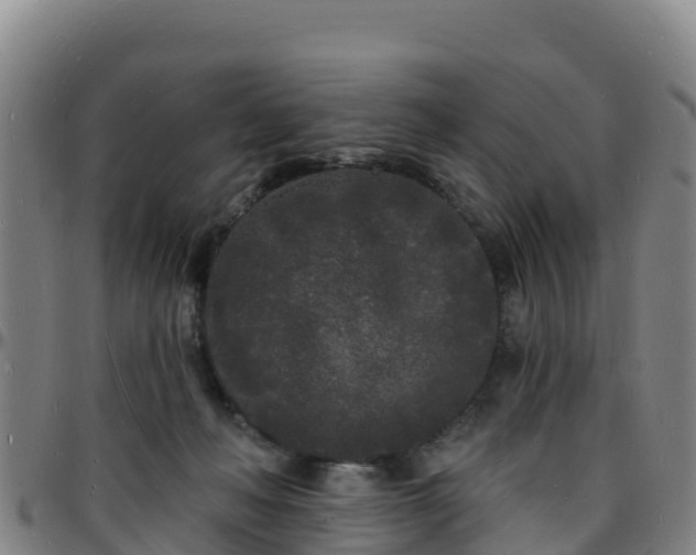X0000096390222200801311328