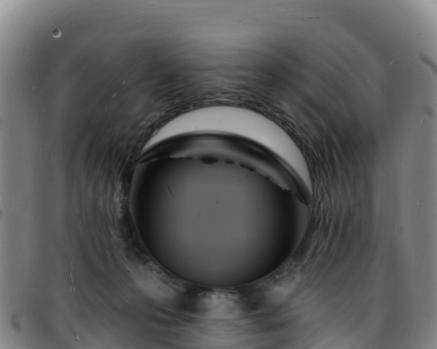 X0000096390223200801311328