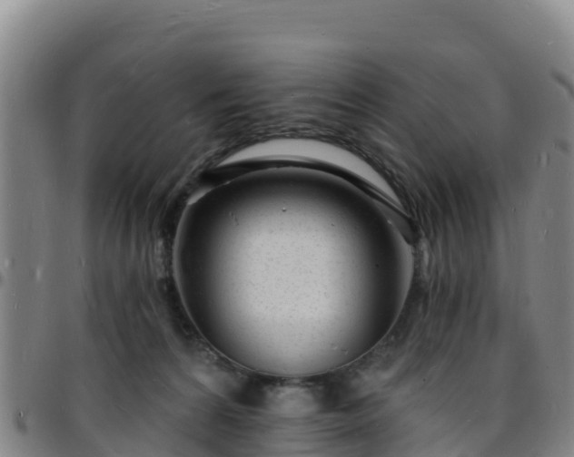 X0000096390224200801311328
