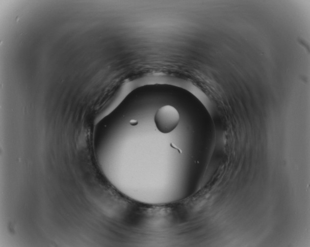 X0000096390225200801311328