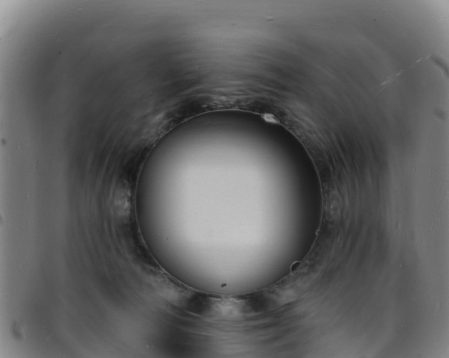 X0000096390226200801311328