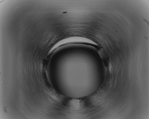 X0000096390227200801311328