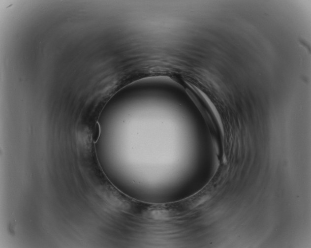 X0000096390228200801311328