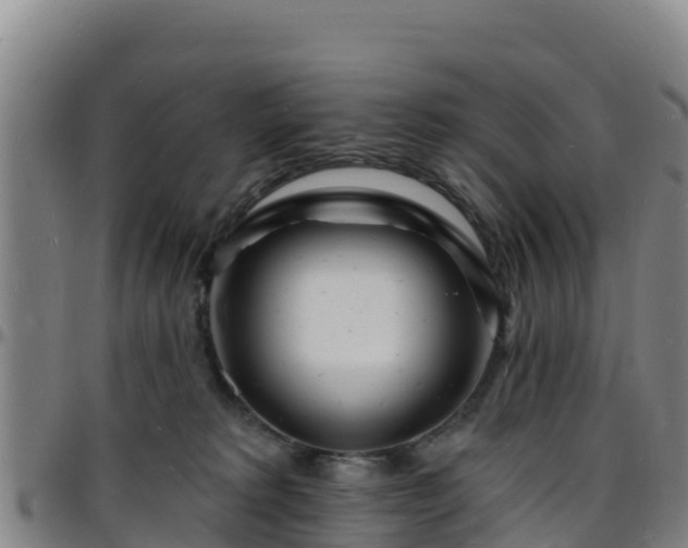 X0000096390229200801311328