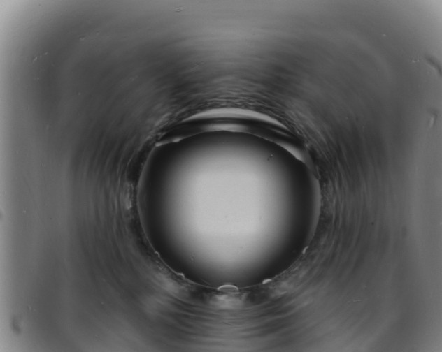X0000096390232200801311328
