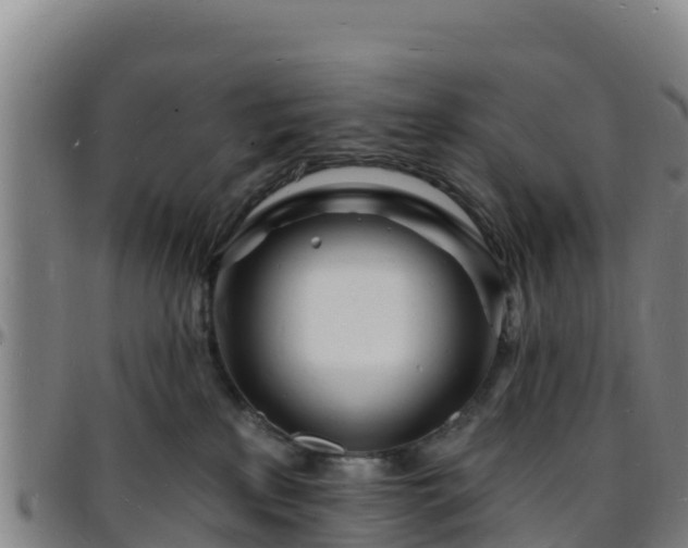 X0000096390233200801311328