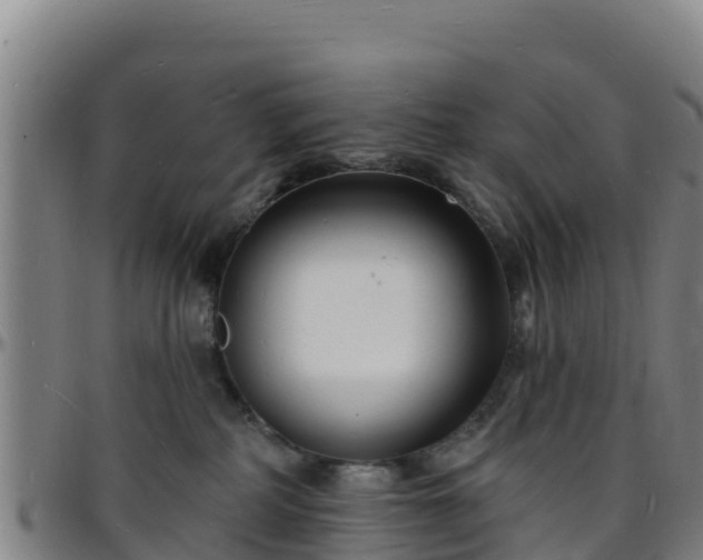 X0000096390234200801311328