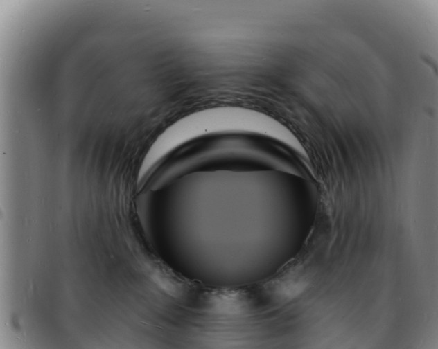 X0000096390235200801311328