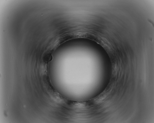 X0000096390236200801311328