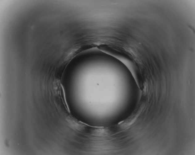 X0000096390237200801311328