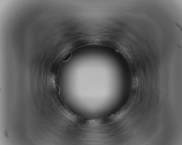 X0000096390238200801311328