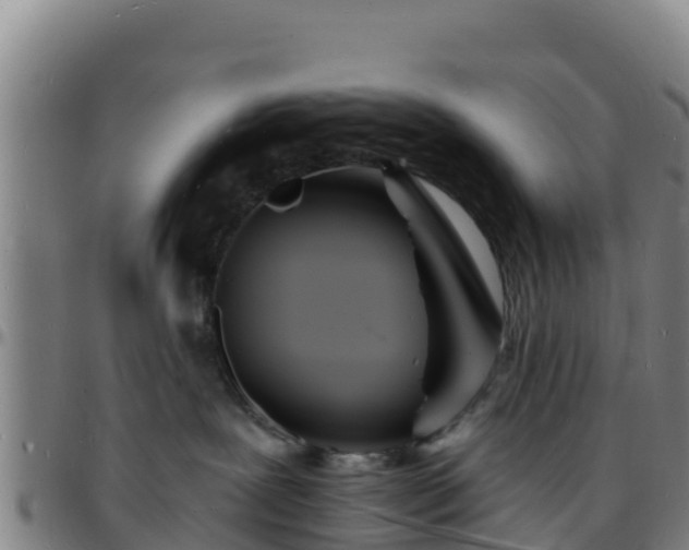 X0000096390239200801311327