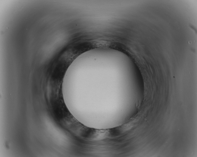 X0000096390240200801311327