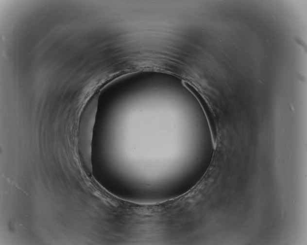 X0000096390241200801311327