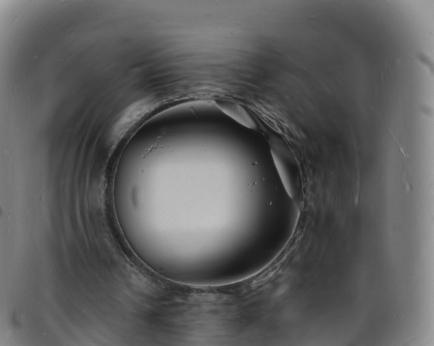 X0000096390242200801311327