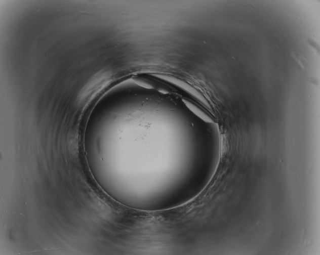 X0000096390243200801311327