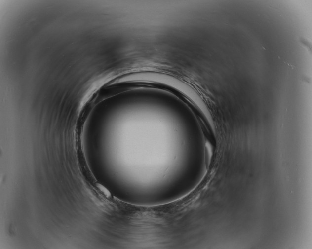 X0000096390244200801311327