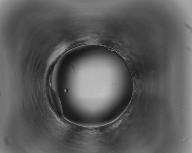 X0000096390245200801311327