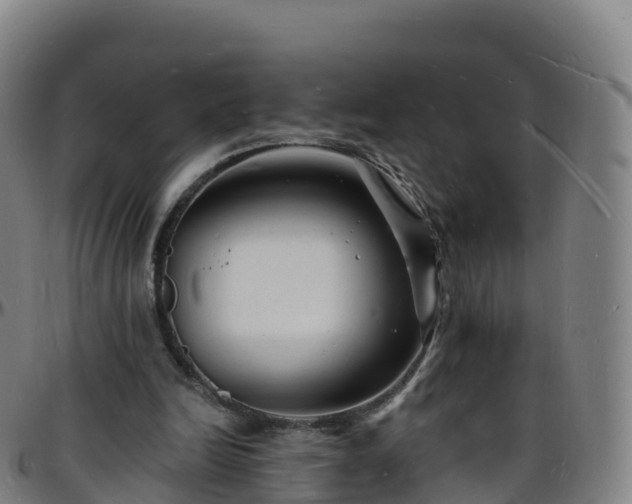 X0000096390246200801311327