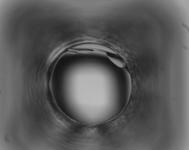 X0000096390247200801311327
