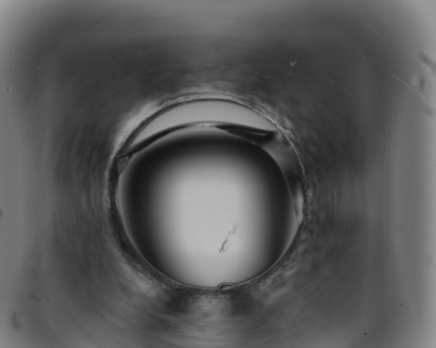 X0000096390248200801311327