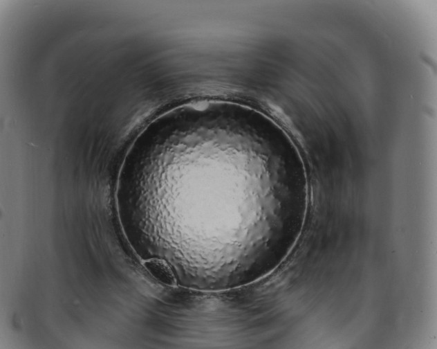 X0000096390249200801311327