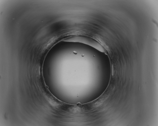 X0000096390253200801311327