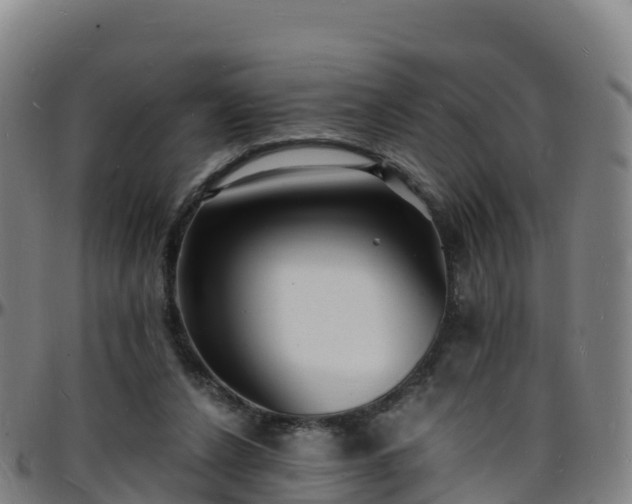 X0000096390256200801311327