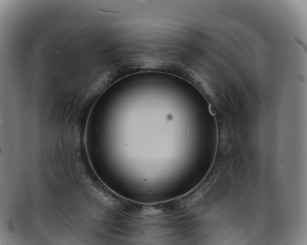 X0000096390257200801311327