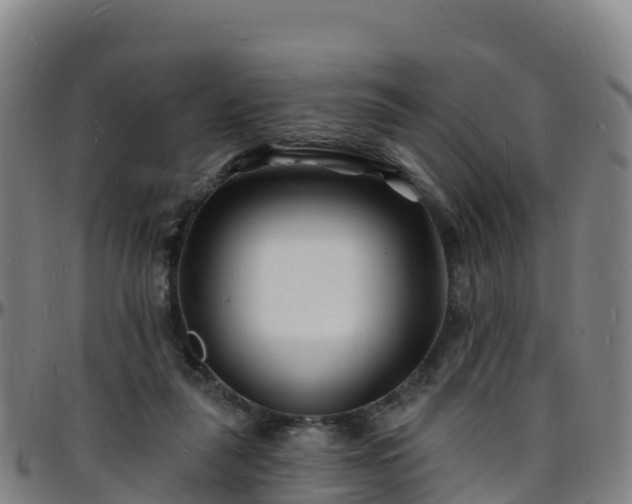 X0000096390259200801311327